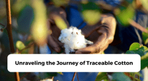 Unraveling the Journey of Traceable Cotton